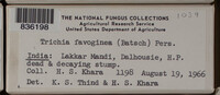 Image Associated With the Occurence